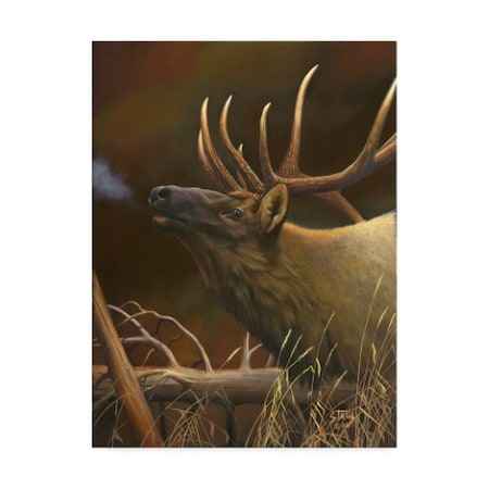 Leo Stans 'Elk Portrait I' Canvas Art,24x32